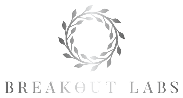 Breakout Laboratories logo